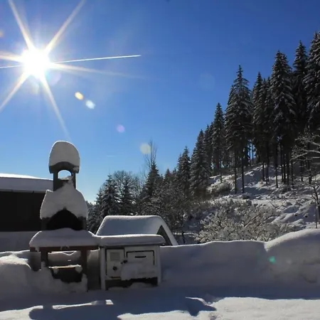 Anno Dazumal, Zu Omas Zeiten Holiday home Klingenthal